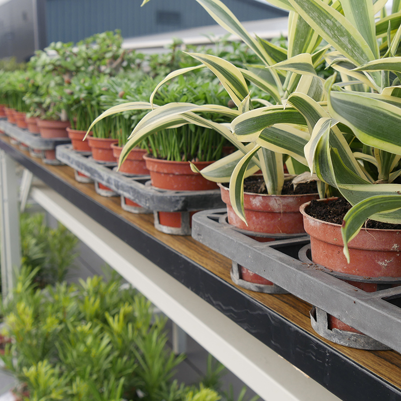 <p>非凡與愛種樹公司分享種樹的意義，還給地球原本的顏色。</p>
