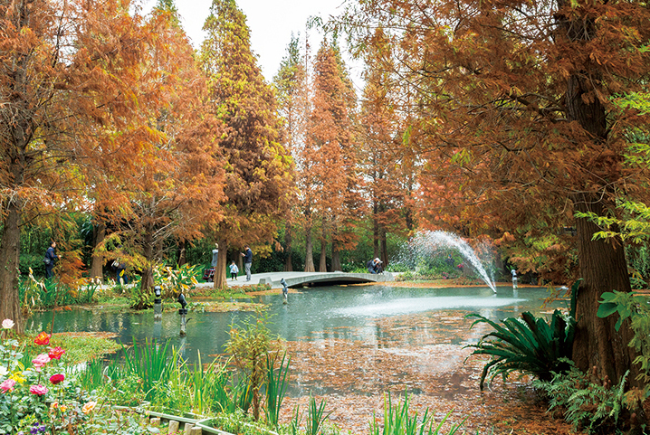 【拼圖旅遊】彰化花田公路踩風趣~手作多肉植物好有趣