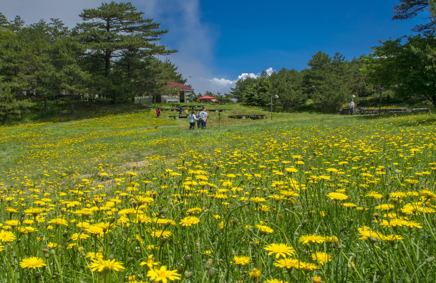 中橫秘境暢遊一泊二食2日