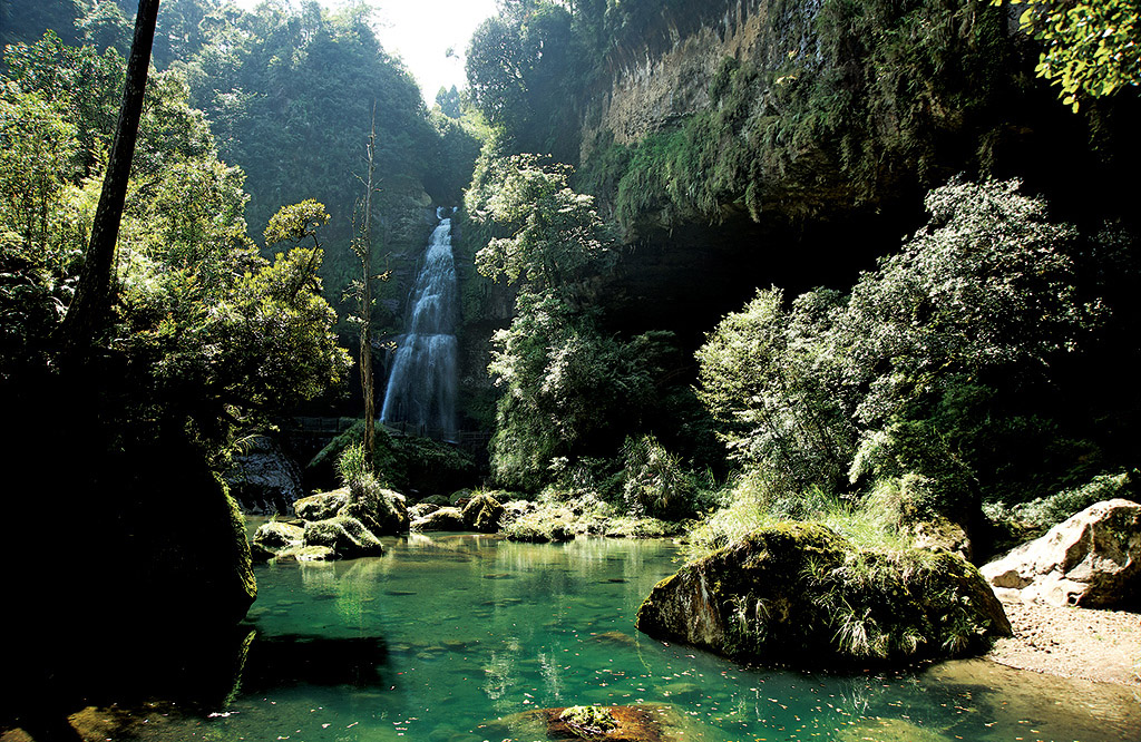 五星溪頭米堤 X 杉林溪森呼吸2日