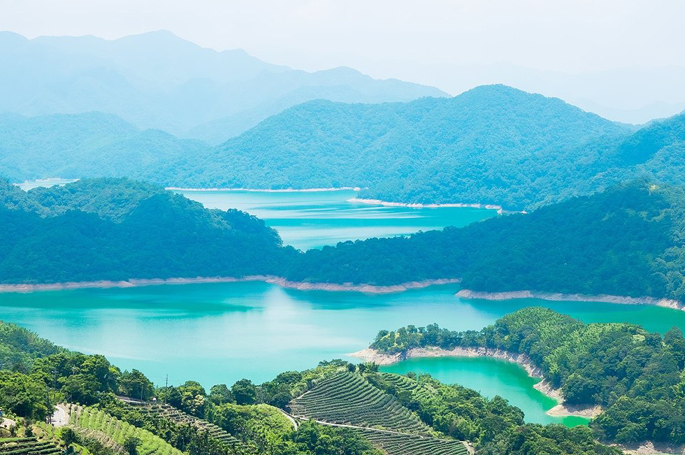 夢幻千島湖、八卦茶園1日