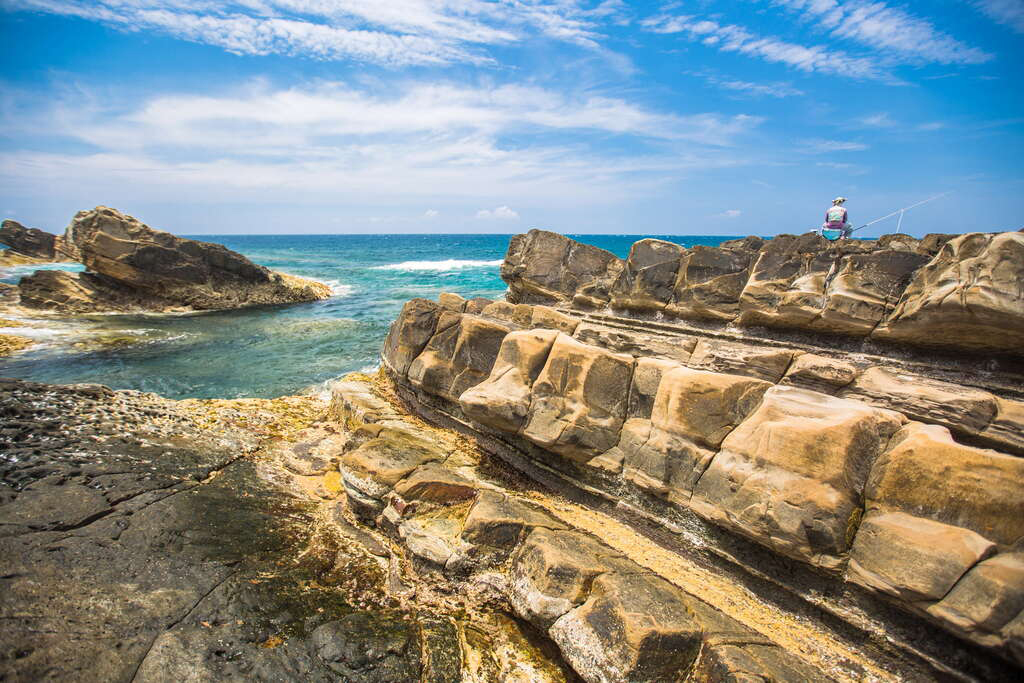 金針竹林x知本金聯2日