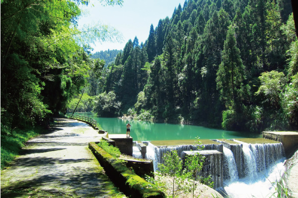 溪頭米堤．杉林溪渡假2日