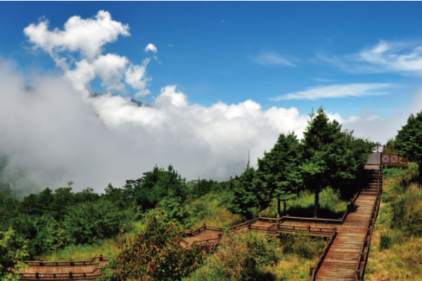 雪霸雲上觀霧、農場度假二日遊
